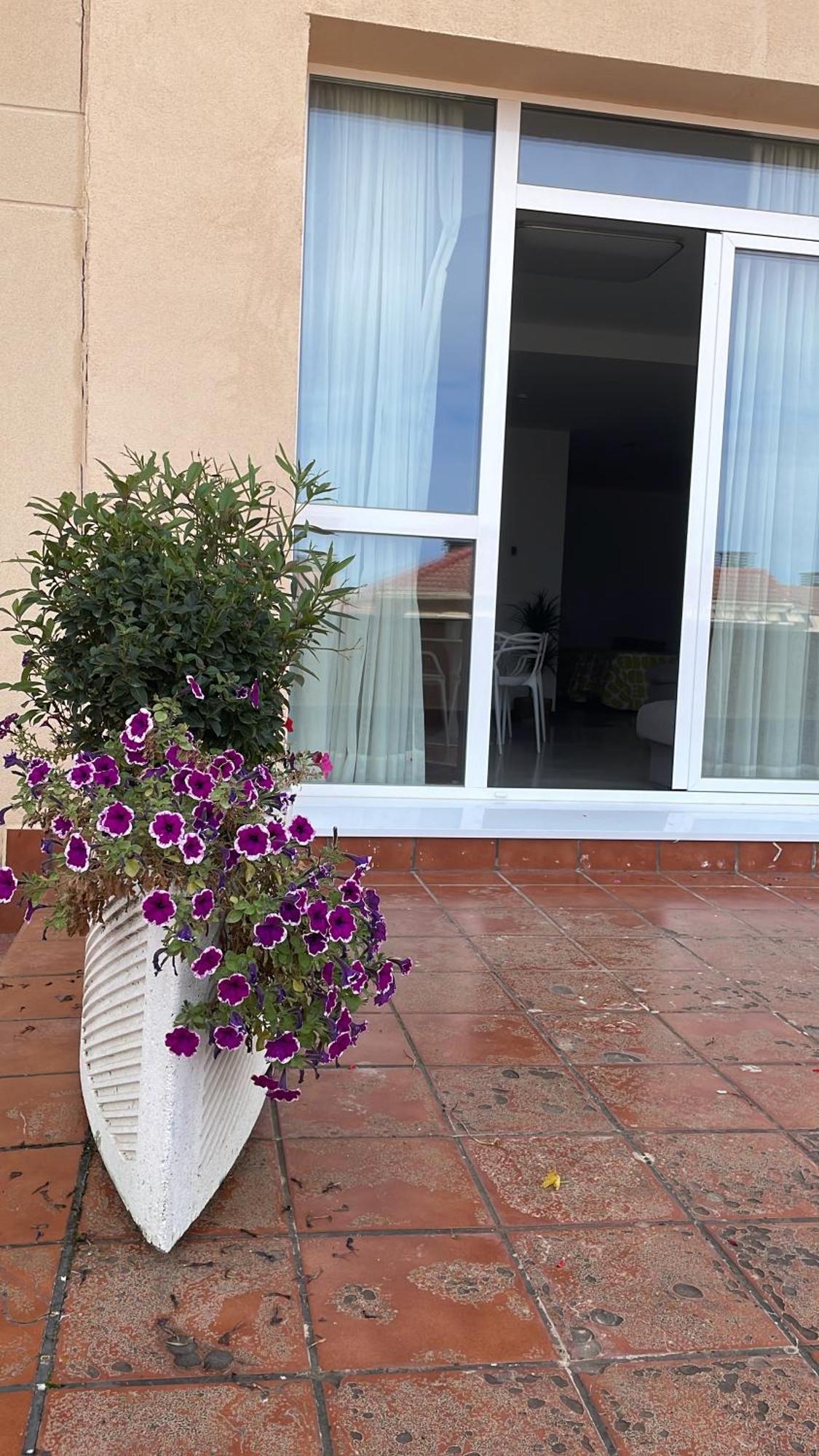 Aljama Burgos Aparthotel Exterior photo